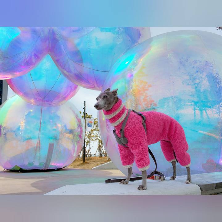 9cbe46d9 ee2a 41b5 adbb 205856bf2edf 1773994573847