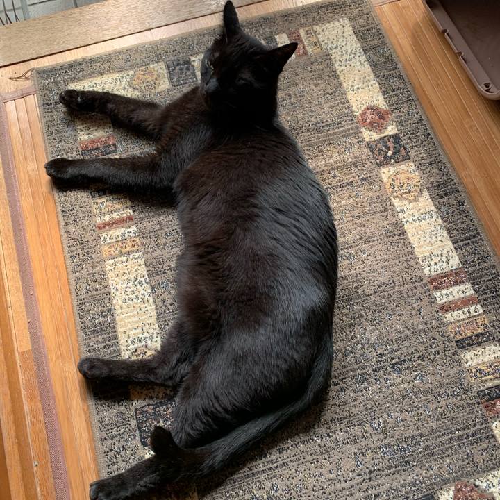 9cbe49a3 069c 4964 86cb 9e08286b0863 1595725848516