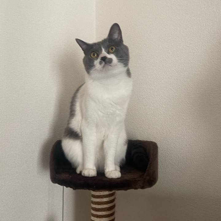 9cbe4fc0 4947 466d acd0 229e204906c6 1675293239901