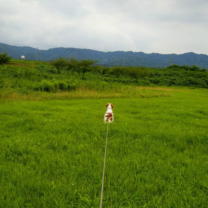 9cbe8957 eed8 42f3 8d66 437214a63527 1563277585932