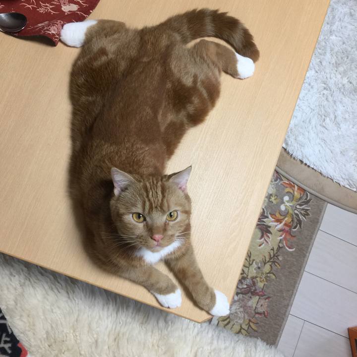 9cbe90e3 c261 43a3 a30b bd44fc11a890 1536454623034