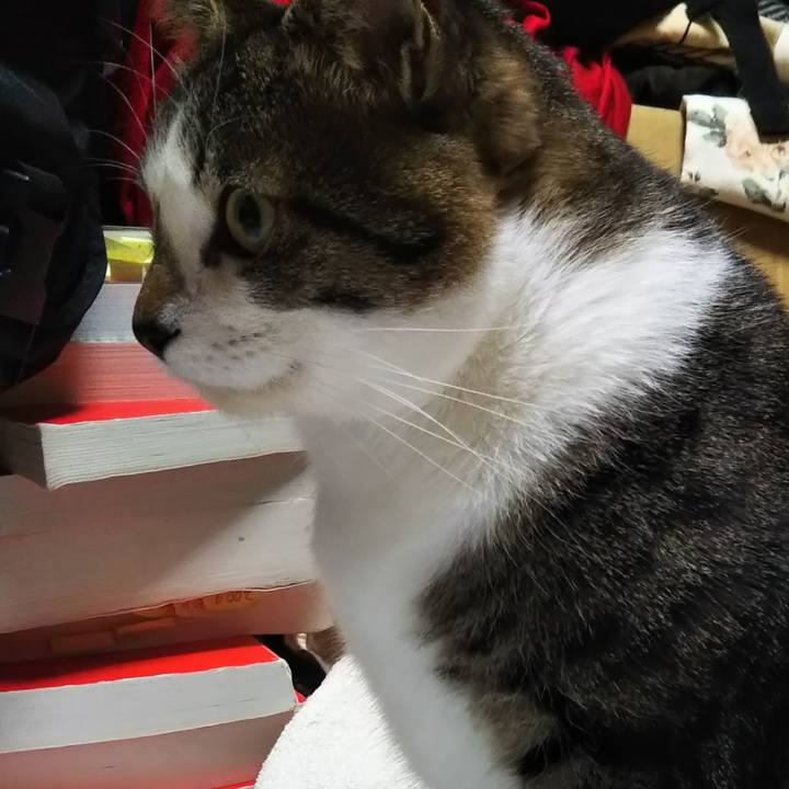 9cbeb087 de72 40c3 9ad5 4aeac7cc54dd 1605779767771