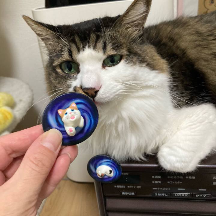 9cbed685 a196 4329 a20b 7d5ed797bc2d 1763812137221