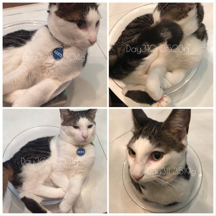 9cbee0b5 c230 4ac4 858b 8772442f0661 1515051597117