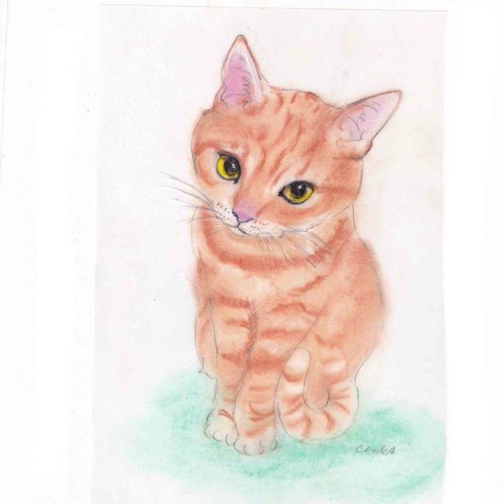 9cbefcca 8cb8 450e b81a e4778b96d7e1 1619453443624