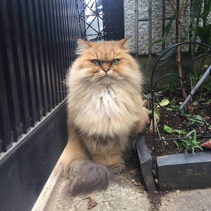 9cbf34db af9c 4f44 b419 9e81542e401d 1571874321776