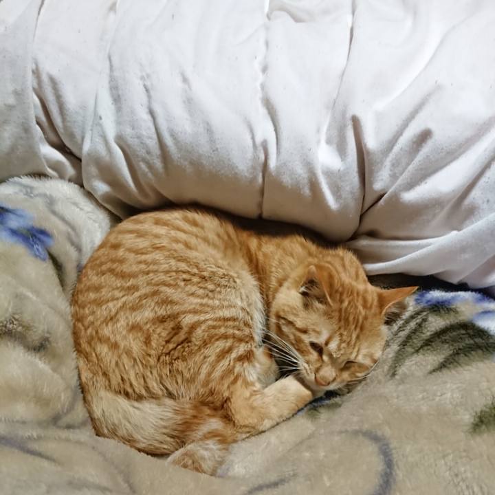 9cbf50af 31ae 4aa8 a600 9d7c9a0017f0 1648125429673