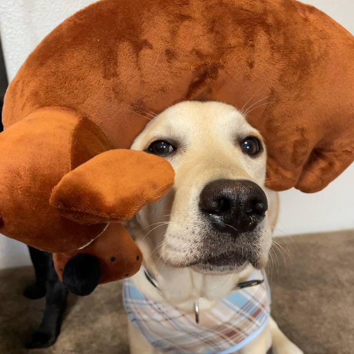 9cbf6443 0790 404f 830b b63feae8a944 1621836632861