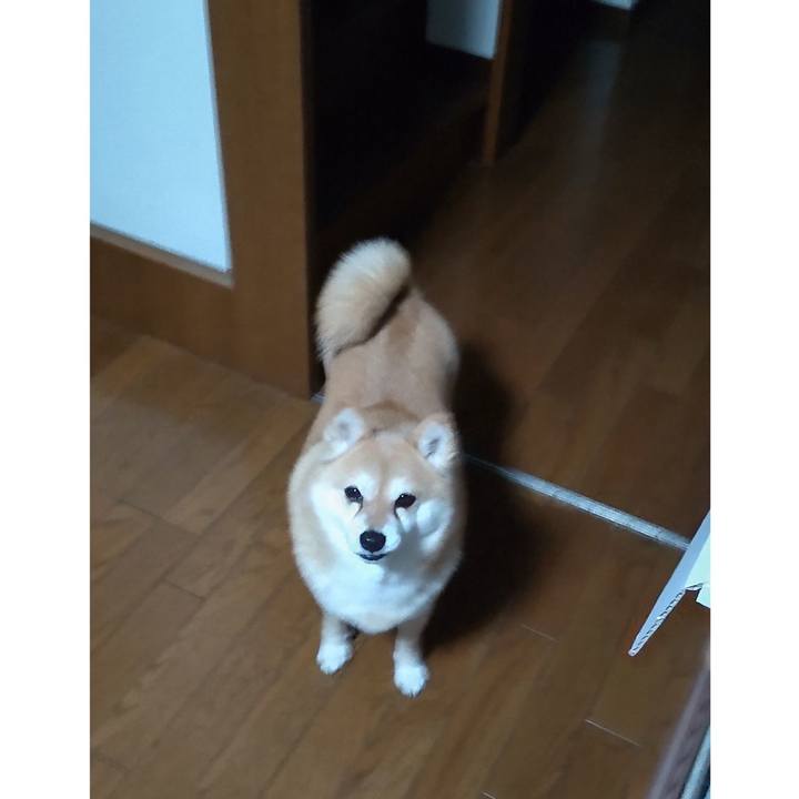 9cbf7cfd f744 4904 a2e1 271bcec7e322 1773142916354