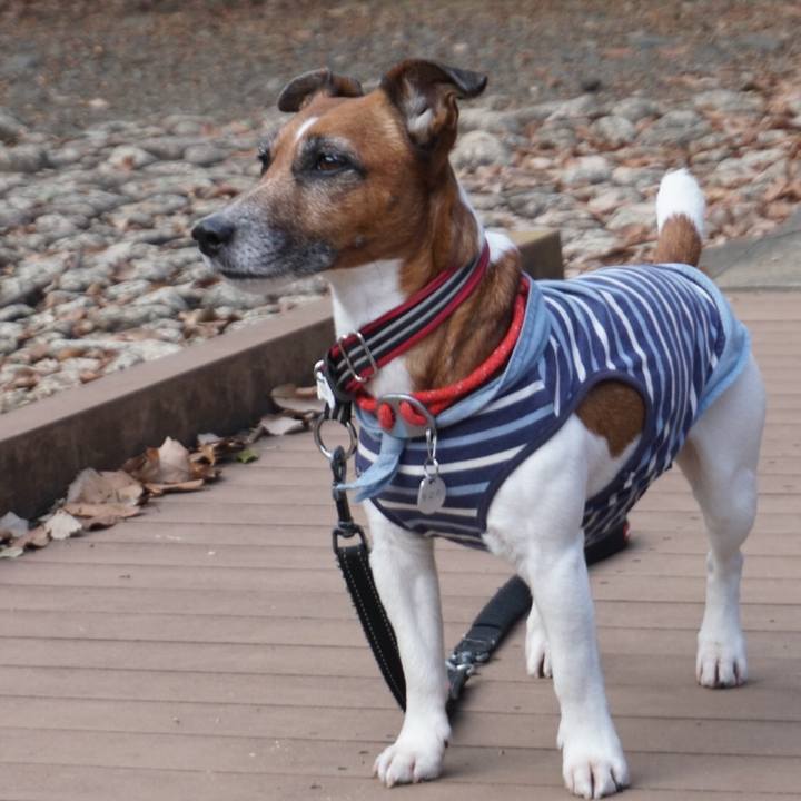 9cbf9e78 ae39 4bbe 88af a7857a9e1ff1 1578294237161