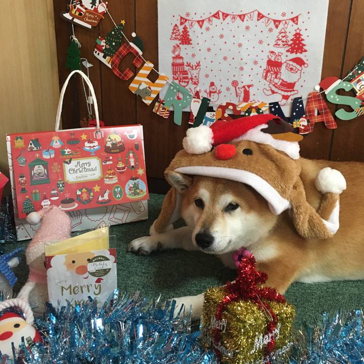 9cc0248c d38f 4a23 8b9b cb0d957ddf92 1639812371237