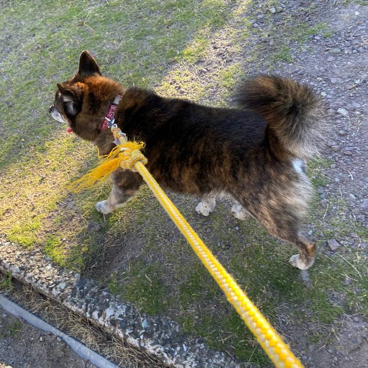 9cc033f7 3c7c 4ec9 9717 3ba4b7df5574 1654764781794