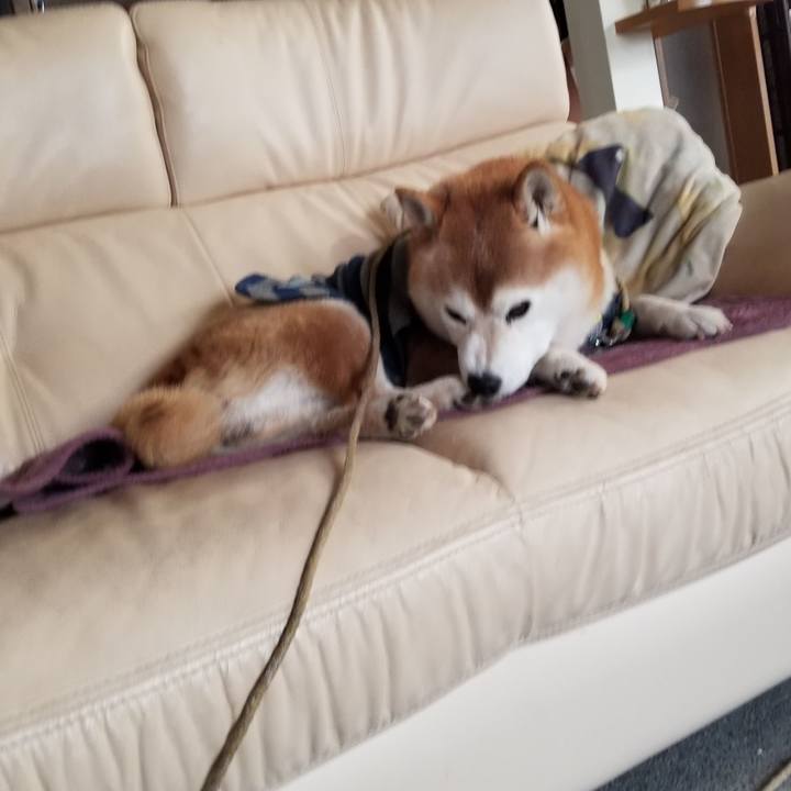 9cc04004 7210 4a31 ac15 335b74893582 1670199696493