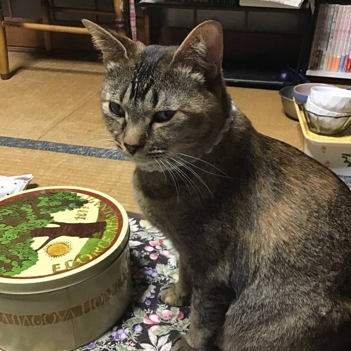 9cc04407 ea37 41e3 9bd2 f6c21cb73d2a 1649412864868