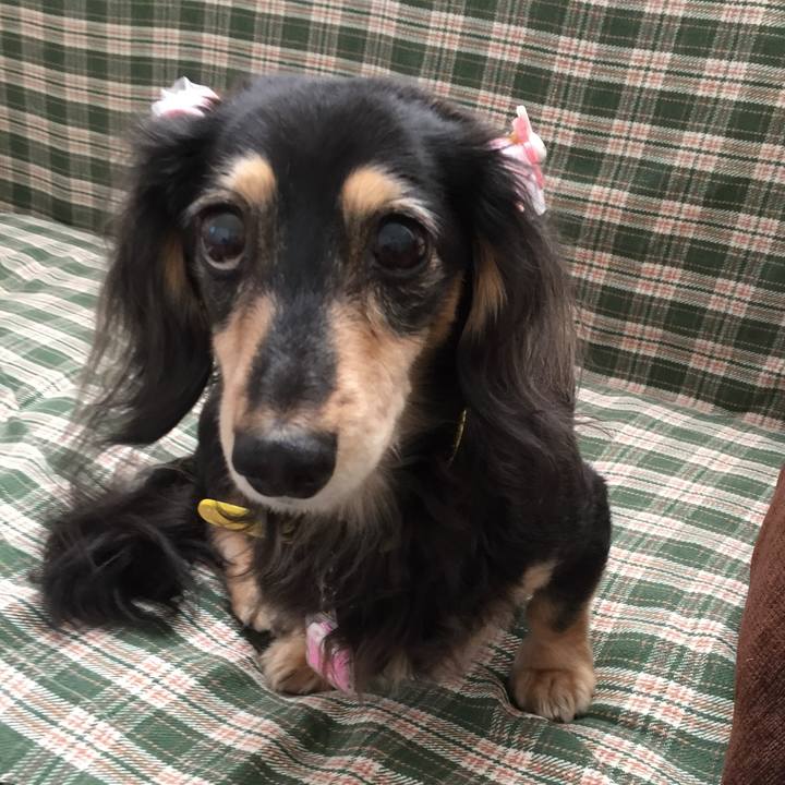 9cc05524 7cb2 44e8 bcaf e4982c299bd7 1606347546146