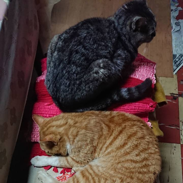 9cc07fad efbf 4db7 949c 39c756465e86 1555069778509