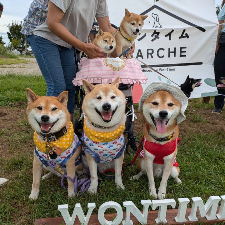 9cc09224 cea6 4cc8 847c 10b1f75e7632 1726994766458