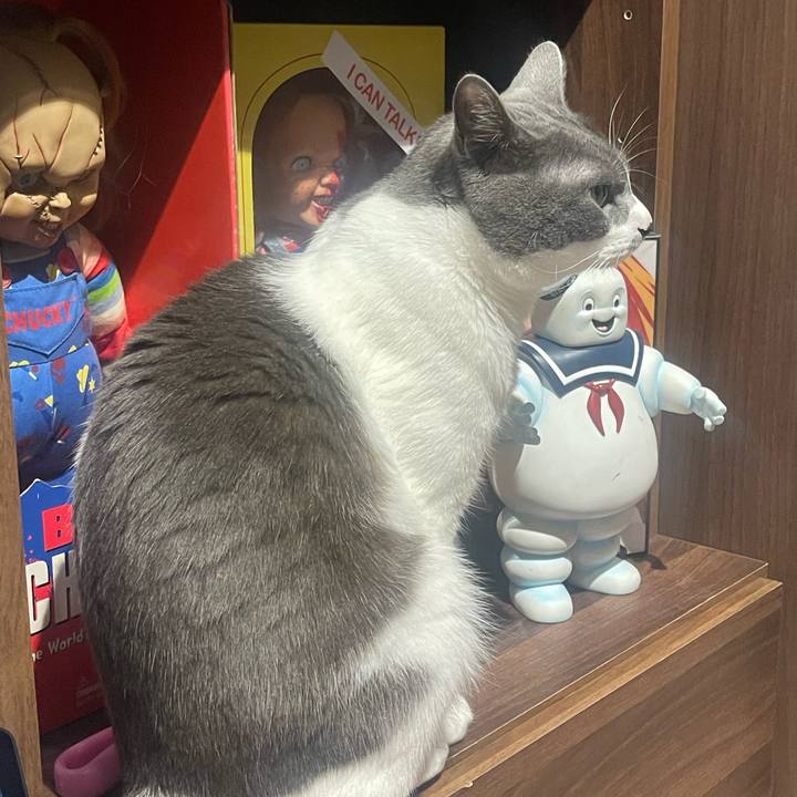 9cc094b1 9af9 4efa 8e5f acae2102d6ff 1653397226122