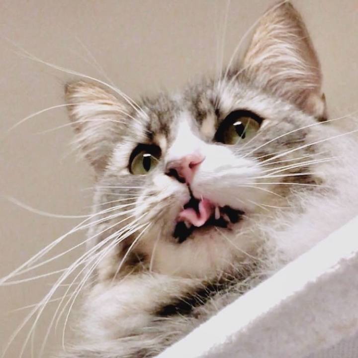 9cc09d30 e2c3 4818 8ab1 168f41267569 1757692703930