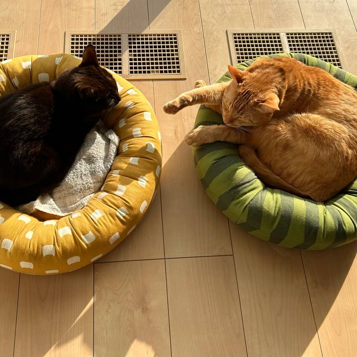 9cc0af75 b701 4c95 9e85 a6ce03c47bb3 1767161870249