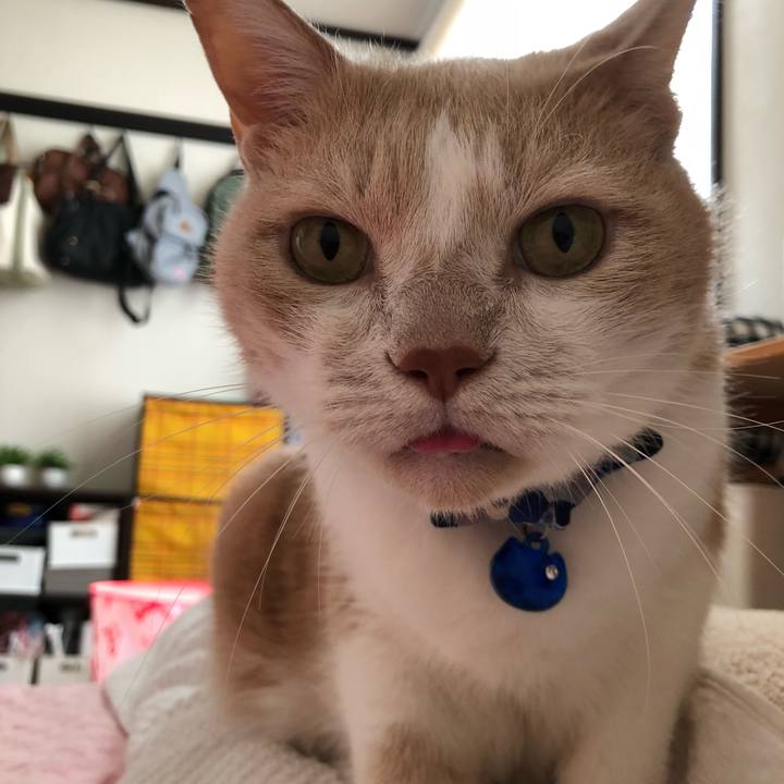 9cc0c034 f7b2 46c6 8faf 87763825bebd 1537666065663