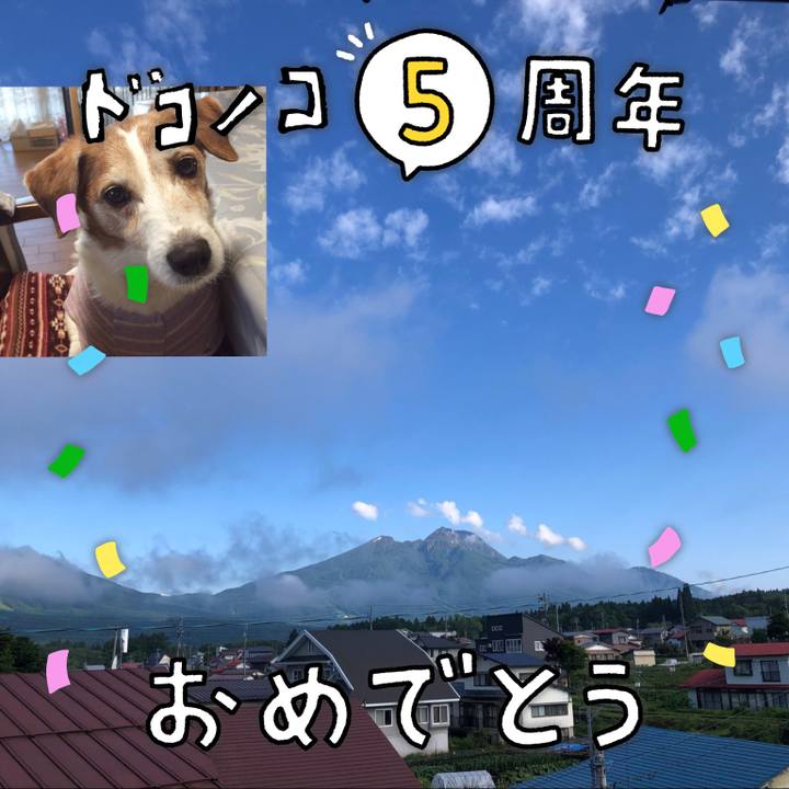 9cc0e01d dae1 48ec 97d6 c031a5868f3b 1623886217188