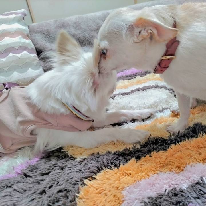 9cc0ec32 1d76 4d80 88a6 fa19aaf665ce 1748316750190