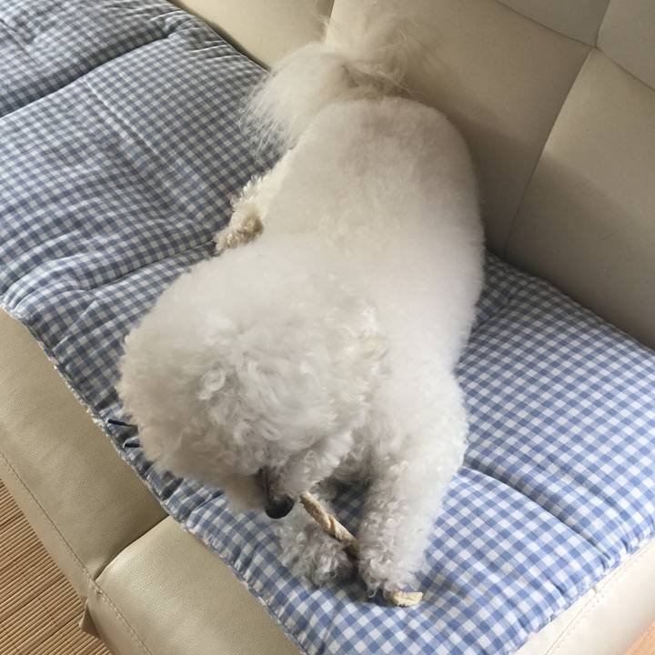 9cc12e9c 8774 4838 96bb ed860fb713a7 1535169076422