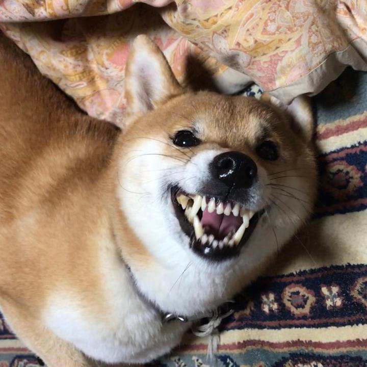 9cc13ea2 3c5c 4171 8108 7cf91ec717c9 1551325952950