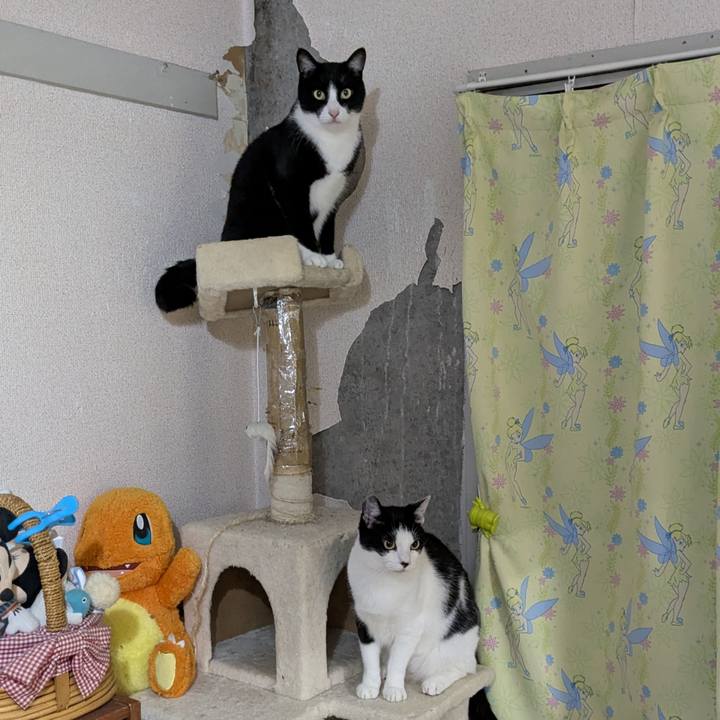 9cc17ae9 0257 477d 8e98 d90c39cff57e 1761369528420