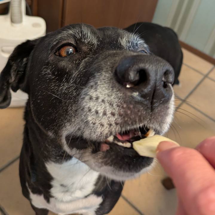 9cc1b110 1406 4d86 a8cf fc28d2f74294 1737196893846