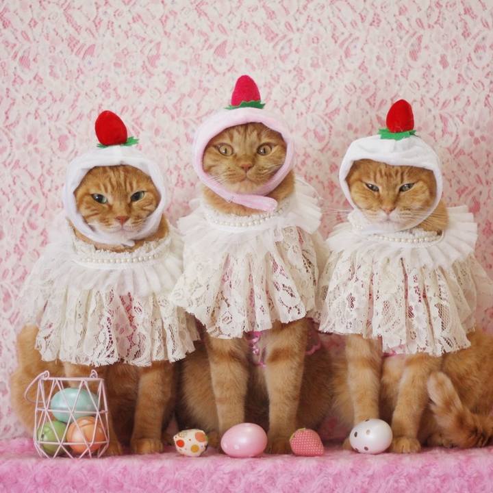 9cc1b915 b9a8 4797 a9fb 7733705d2466 1656903404851