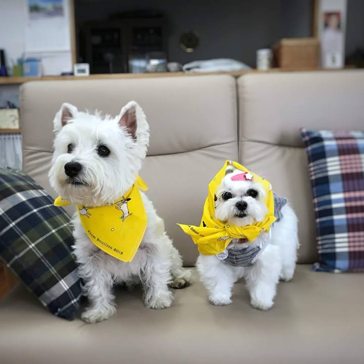 9cc1ffdc 494f 455f 9d18 293ac3513571 1764680736859