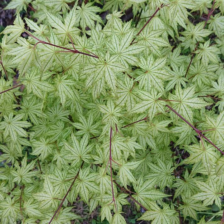 9cc2012a 42ea 4cbf 9db5 f575d63d7419 1650324813461