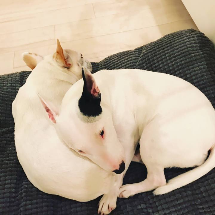 9cc2290f e4b6 414a ac4d 0459bb76439f 1520761855148