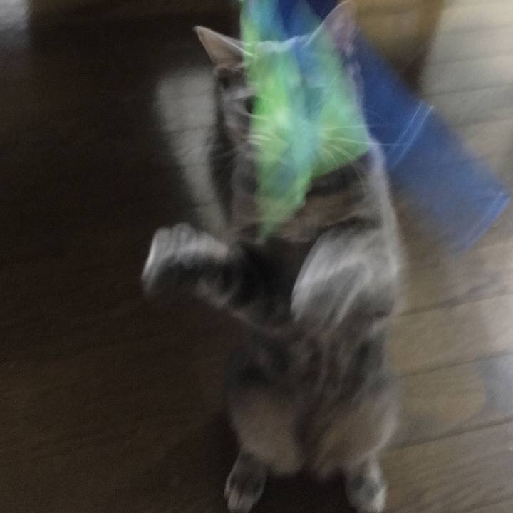 9cc22acd c15c 47a8 bf93 3eba20603cfb 1524220631746