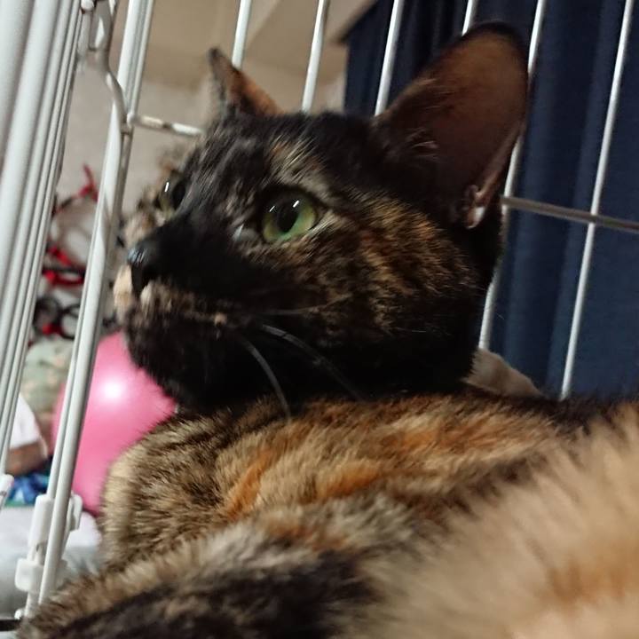 9cc22bb9 dd0b 4cd3 b59e 2ea0a1f9f805 1582333157962