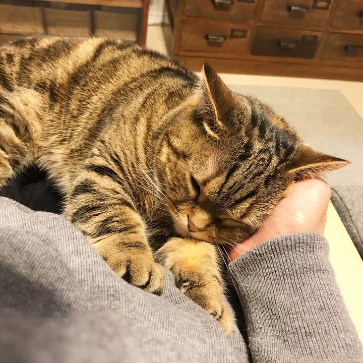 9cc24256 dae6 4434 b1fe 964d2ad5ff46 1552051518231