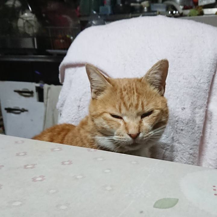 9cc2b2f0 ecc1 4e87 bf4d aa0dafeefafc 1583438469074