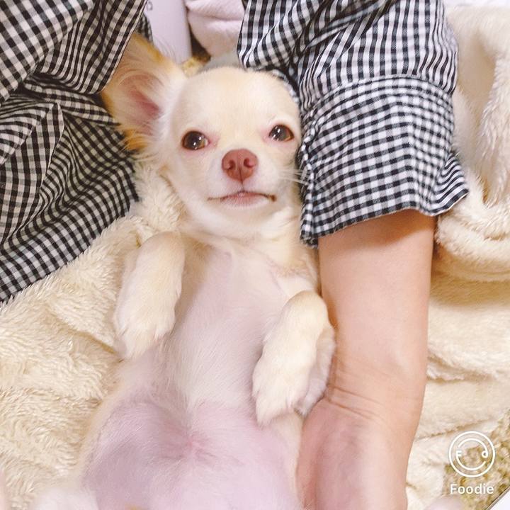 9cc2bc3d 5017 472d 8242 a854223b43d5 1600496108439