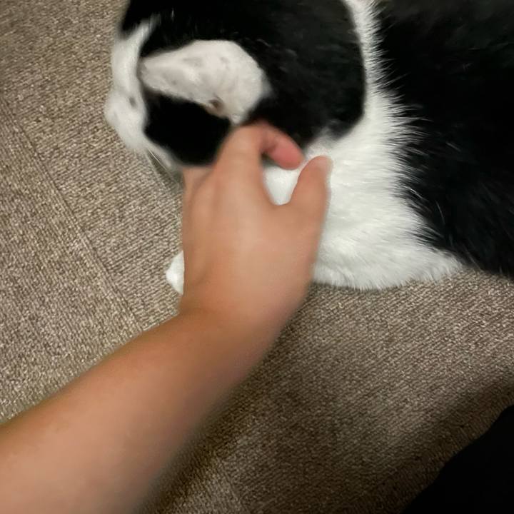 9cc2fb47 6ca1 415e 8cf1 557ee770df93 1662827601480