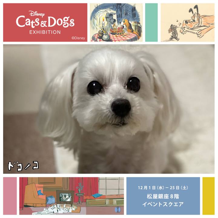 9cc30c5f f64e 4417 b0a8 861b9d7c852f 1639056437498