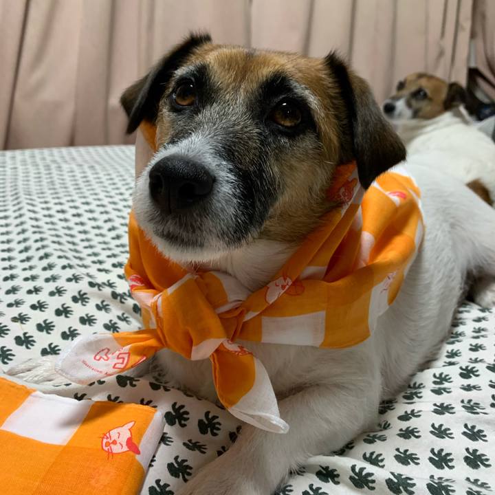 9cc3985f 1b04 47b6 be5e fd9f12625fb0 1605455423795