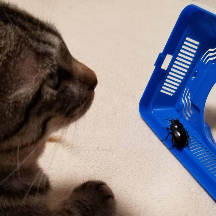 9cc3ae15 8973 4419 bb94 c8015ed5c1f6 1689142151096