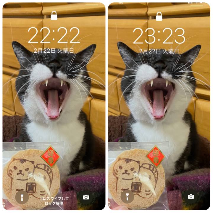 9cc3afa6 c743 4f0d 94ca 677d07fe7443 1645539982044