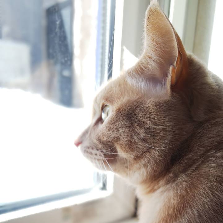 9cc3fbe9 c7d5 4e07 8757 215570c0ee8c 1647568881357