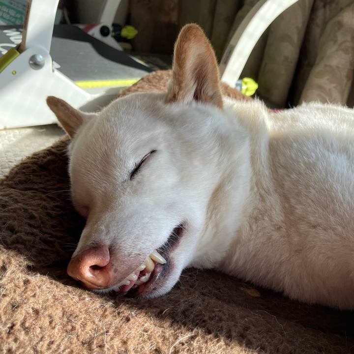 9cc3fdf0 82dd 474f a320 7f4cd9f135d2 1637675048910