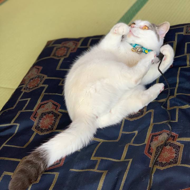 9cc42669 3a8c 4d06 b491 5214e33019dc 1676688746608