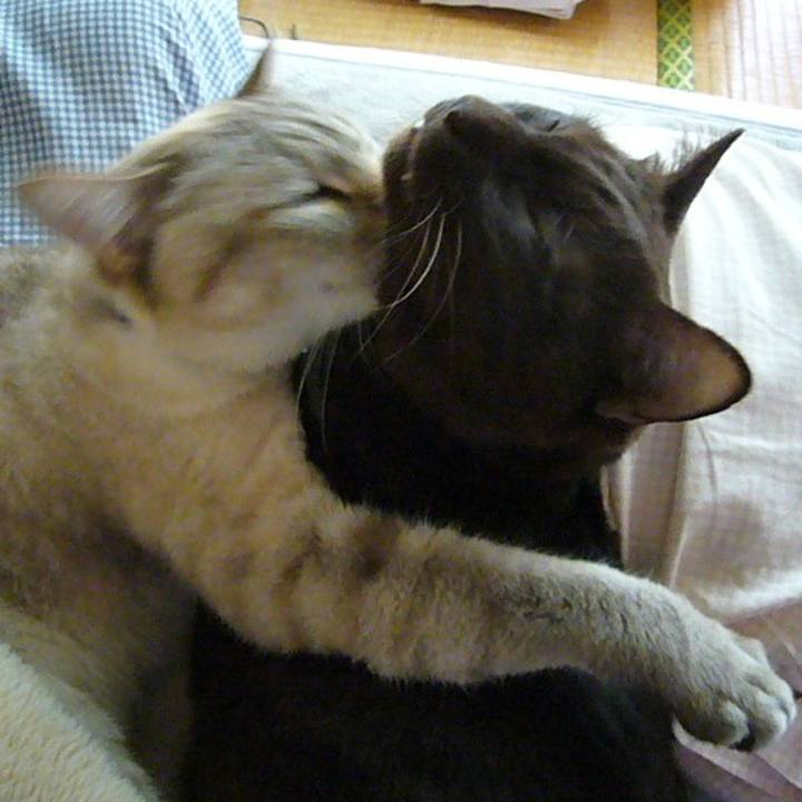 9cc42aa5 a890 4f96 b25e f51a2ea51d4a 1616213024474