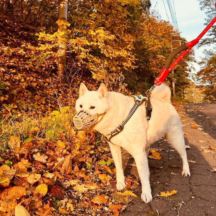 9cc42ed3 40d3 451f aab2 025a2bb4a078 1698703986865